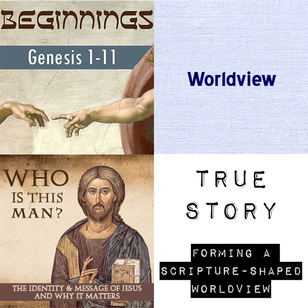 Worldview: 3-Series Bundle - Image 2