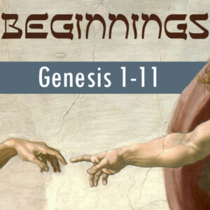 Beginnings: Who & Why in Genesis 1-11