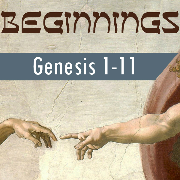 Beginnings: Who & Why in Genesis 1-11