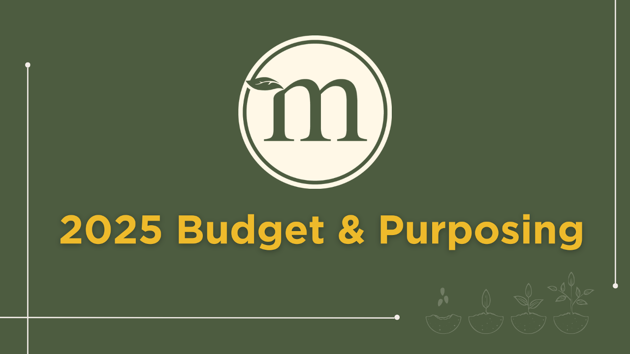 Budget Sunday 2024