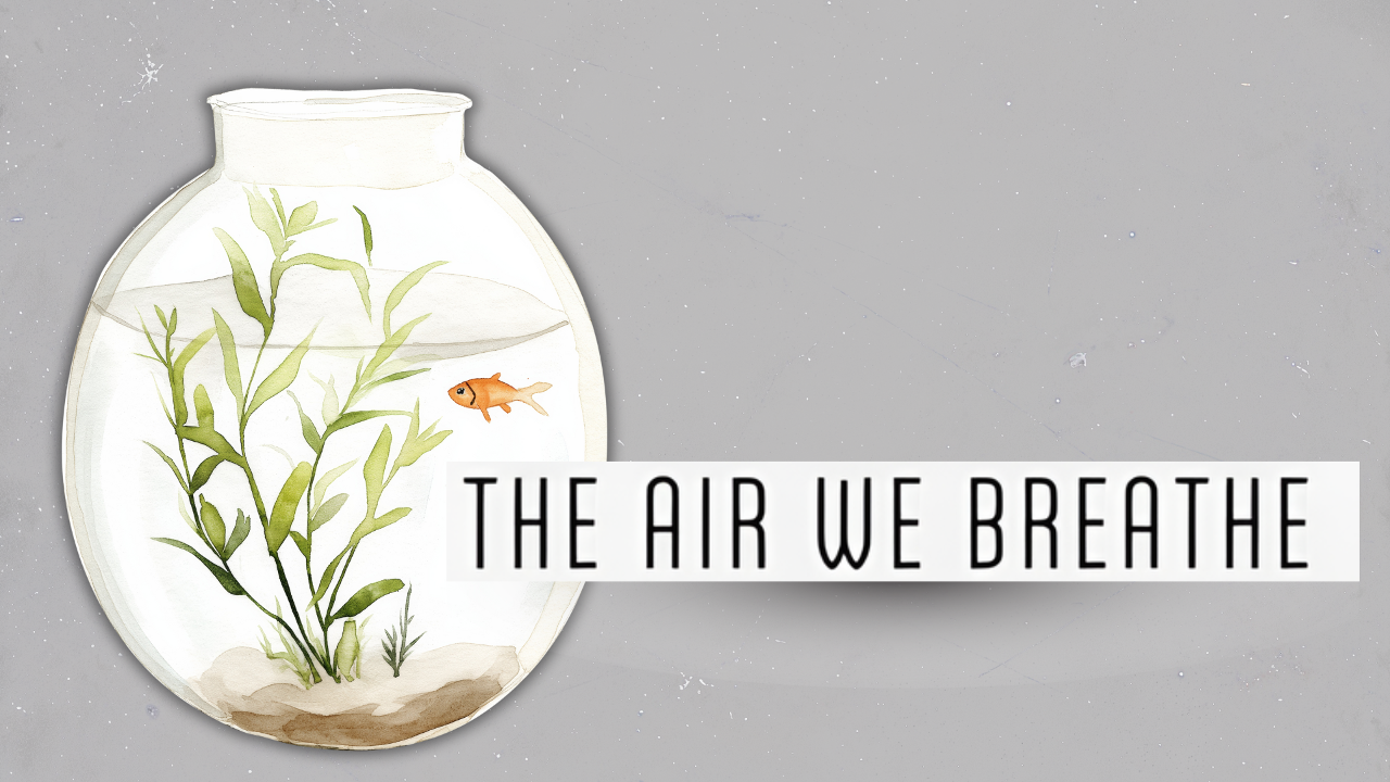 The Air We Breathe