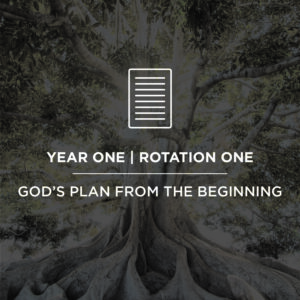 Journey Land Curriculum - "God's Plan from the Beginning" (FREE)