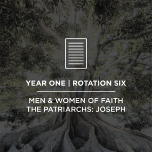 Rotation 6