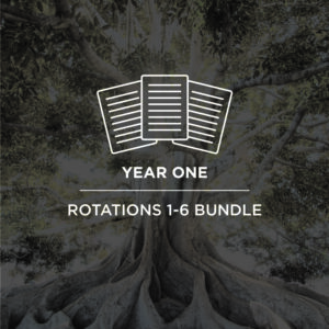 Curriculum for Year 1 Rotations 1-6
