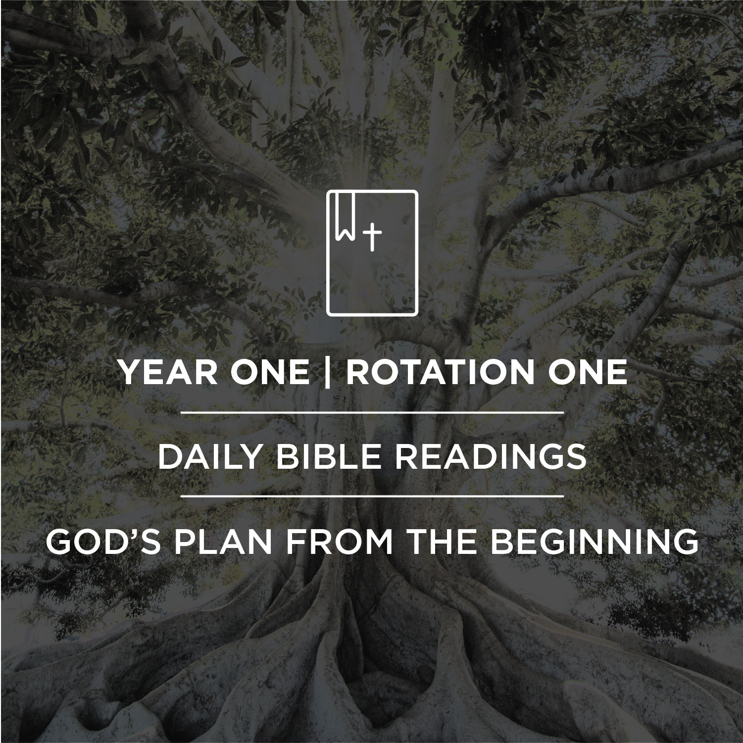 Journey Land Bible Reading Bookmarks - Year 1 Rotation 1 (FREE)