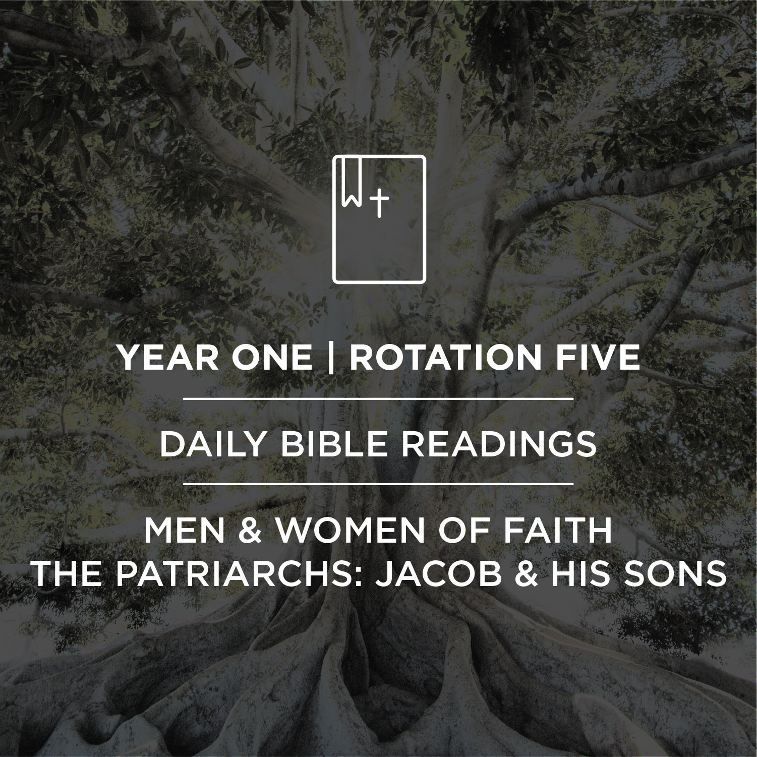 Journey Land Bible Reading Bookmarks - Year 1 Rotation 5
