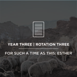 Rotation 3 - (Completing the OT)