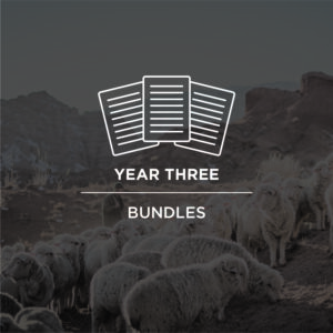 Year 3 Bundles - Curriculum, Theater Scripts, Bible Reading Bookmarks and Journey Land Music bundled together for easier purchase.